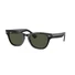 Kép 1/21 - RAY-BAN LARAMIE 2201 901/31 54/20/145